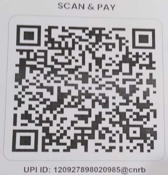 UPI QR Code