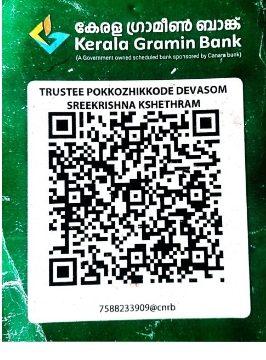 UPI QR Code